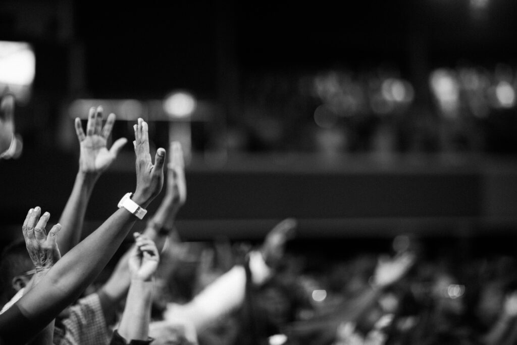 Test Blog Black and white image of audience with hands raised, capturing concert energy.
